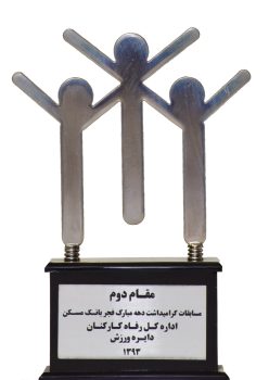 -2مقام دوم-مسابقات دهه فجر-1393